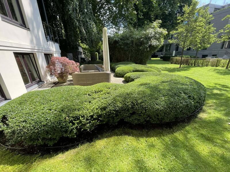 Garten nach der Pflege Hamburg